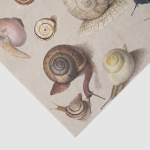 Slak Slug Garden Pet Gastro-pod Botanische slakken Tissuepapier (Detail)