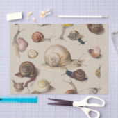 Slak Slug Garden Pet Gastro-pod Botanische slakken Tissuepapier (Craft)