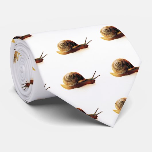 slak stropdas (Opgerold)