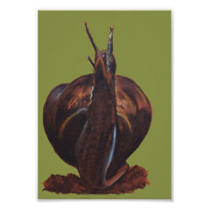 Slak tekening Kodak professionele fotopapier Foto Afdruk