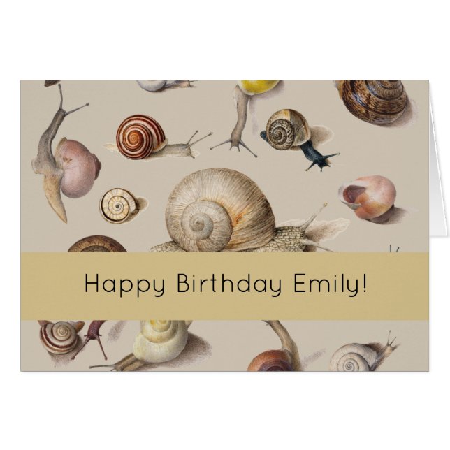 Slak Tuin Pet Gastropod Slak Botanische slakken (Voorkant Horizontaal)