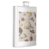 Slak Tuin Pet Gastropod Slak Botanische slakken Flacon (Rechts)