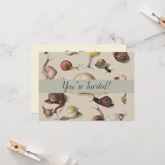 Slak Tuin Pet Gastropod Slak Botanische slakken Kaart (Voorkant / Achterkant in situ)