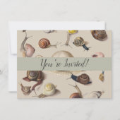 Slak Tuin Pet Gastropod Slak Botanische slakken Kaart (Voorkant)