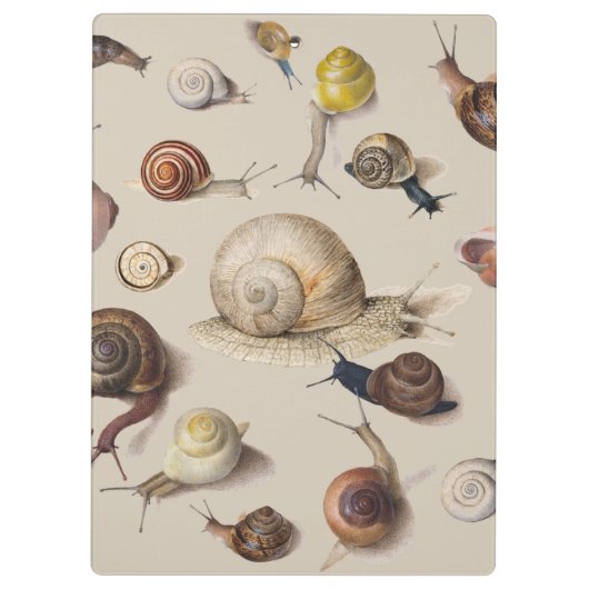 Slak Tuin Pet Gastropod Slak Botanische slakken Klembord (Achterkant)