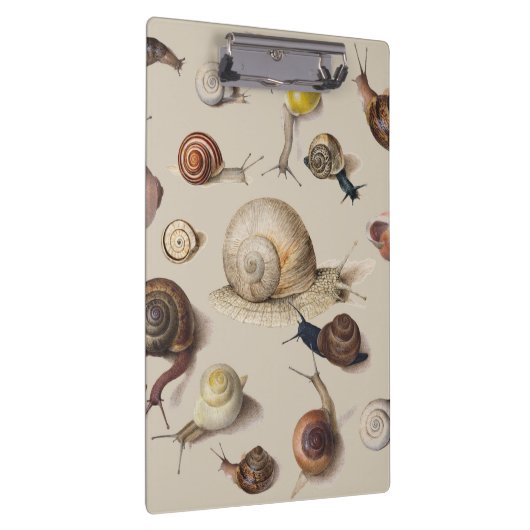 Slak Tuin Pet Gastropod Slak Botanische slakken Klembord (Rechts)