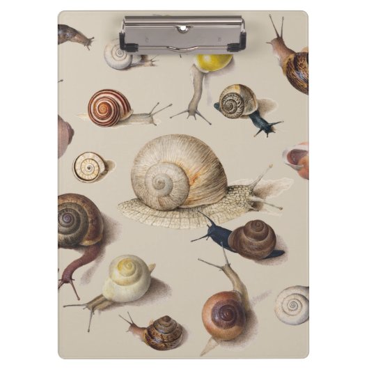 Slak Tuin Pet Gastropod Slak Botanische slakken Klembord (Voorkant)