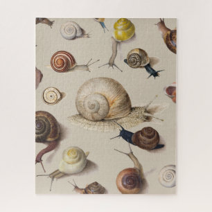 Slak Tuin Pet Gastropod Slak Botanische slakken Legpuzzel
