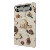 Slak Tuin Pet Gastropod Slak Botanische slakken Mini Klembord (Angled2)