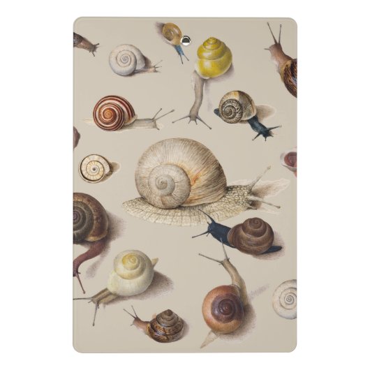 Slak Tuin Pet Gastropod Slak Botanische slakken Mini Klembord (Achterkant)