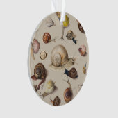 Slak Tuin Pet Gastropod Slak Botanische slakken Ornament (voorkant)