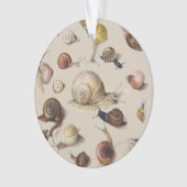 Slak Tuin Pet Gastropod Slak Botanische slakken Ornament (voorkant)