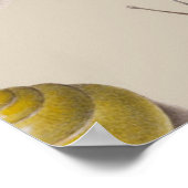 Slak Tuin Pet Gastropod Slak Botanische slakken Poster (Hoek)