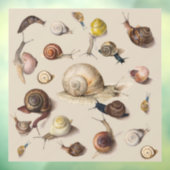 Slak Tuin Pet Gastropod Slak Botanische slakken Raamsticker (Vel 3)