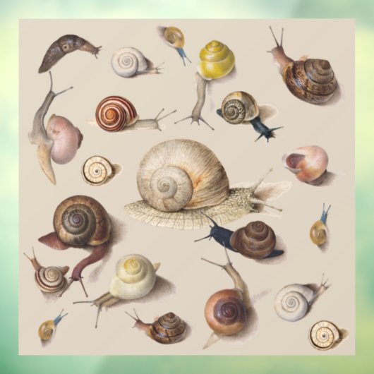 Slak Tuin Pet Gastropod Slak Botanische slakken Raamsticker (Vel 3)
