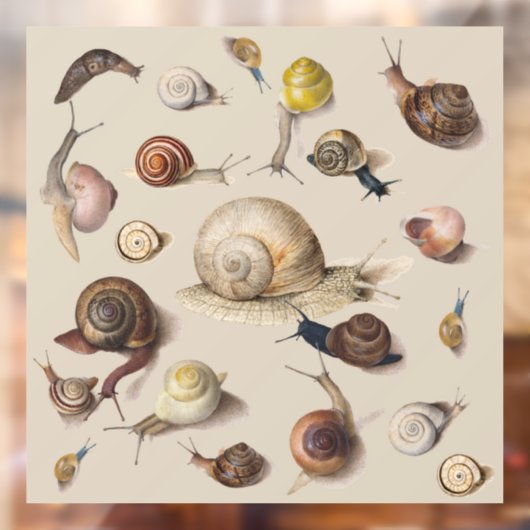 Slak Tuin Pet Gastropod Slak Botanische slakken Raamsticker (Vel 2)