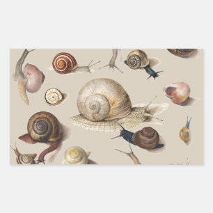 Slak Tuin Pet Gastropod Slak Botanische slakken Rechthoekige Sticker