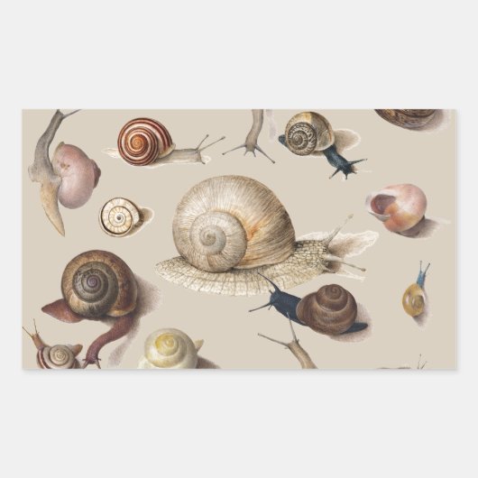 Slak Tuin Pet Gastropod Slak Botanische slakken Rechthoekige Sticker (Voorkant)
