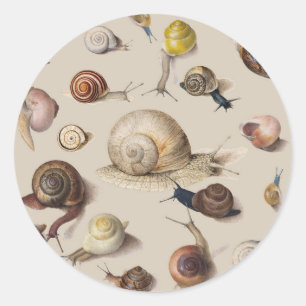 Slak Tuin Pet Gastropod Slak Botanische slakken Ronde Sticker