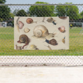 Slak Tuin Pet Gastropod Slak Botanische slakken Spandoek (Insitu)