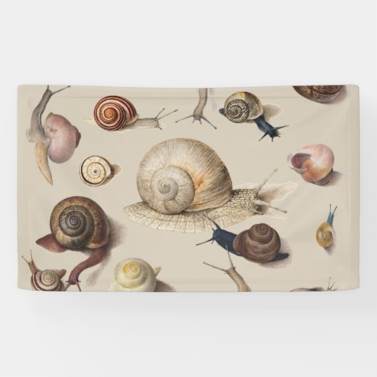 Slak Tuin Pet Gastropod Slak Botanische slakken Spandoek (Horizontaal)