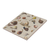 Slak Tuin Pet Gastropod Slak Botanische slakken Tegeltje (Zijkant)