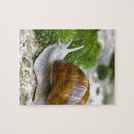 Slak van Bourgogne Legpuzzel (Horizontaal)