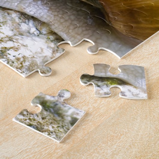 Slak van Bourgogne Legpuzzel (Zijkant)