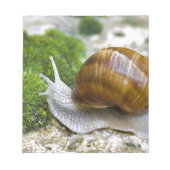 Slak van Bourgogne Notitieblok (Voorkant)