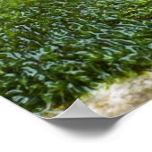 Slak van Bourgogne Poster (Hoek)