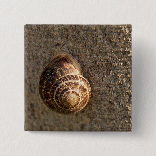 slak vierkante button 5,1 cm (Voorkant)