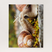 Slakkaar Couple, Jigzaag Puzzle Legpuzzel (Verticaal)