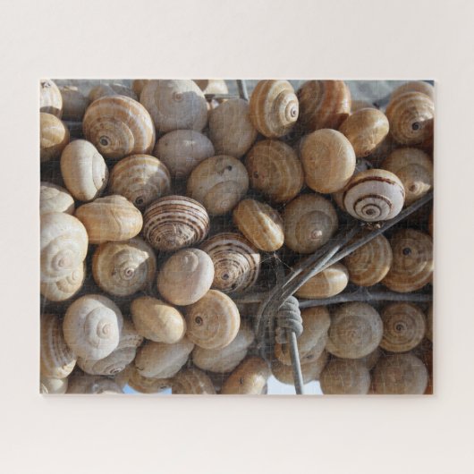 Slakkamer Legpuzzel (Horizontaal)