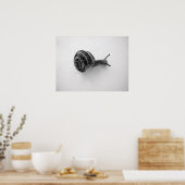 Slakken Ansichtkaart Poster (Keuken)