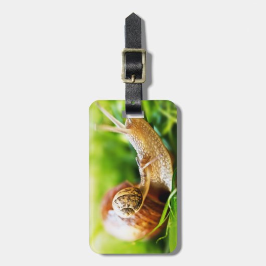 Slakken Bagagelabel (Voorkant verticaal)