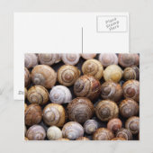 Slakken Briefkaart (Voorkant / Achterkant)