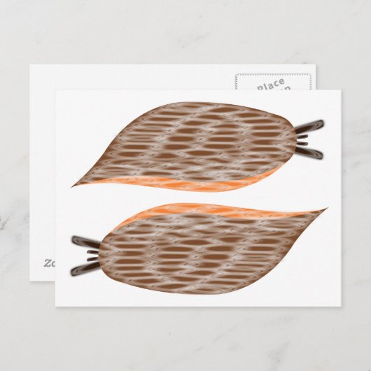 Slakken Briefkaart (Voorkant / Achterkant)