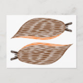 Slakken Briefkaart (Voorkant)