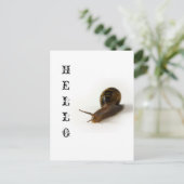 slakken briefkaart (Staand voorkant)