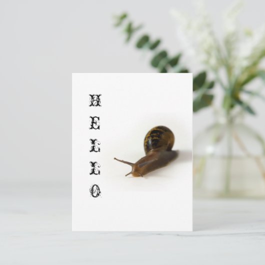 slakken briefkaart (Staand voorkant)