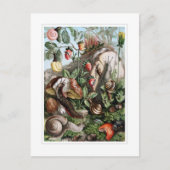 Slakken en slakken briefkaart (Voorkant)