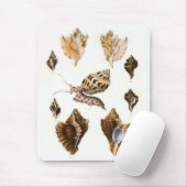  slakken en weekdieren, zeeorganismen muismat (Met muis)