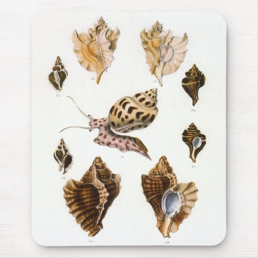  slakken en weekdieren, zeeorganismen muismat (Voorkant)