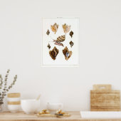  slakken en weekdieren, zeeorganismen poster (Keuken)