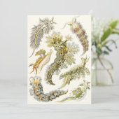  slakken en Zeeen slakken van Ernst Haeckel (Staand voorkant)