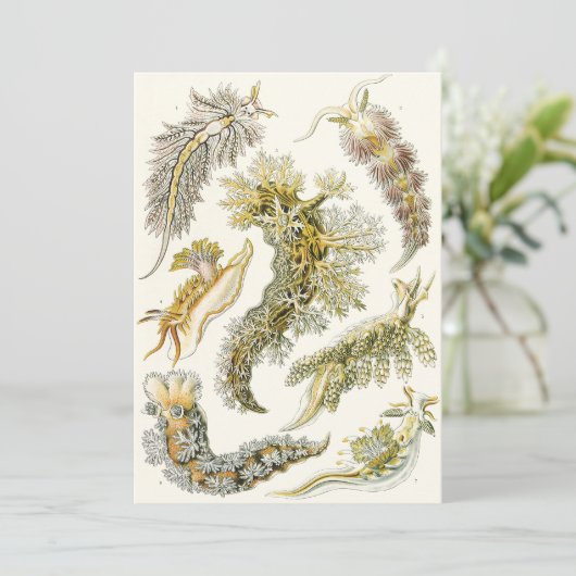  slakken en Zeeen slakken van Ernst Haeckel (Staand voorkant)