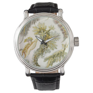  slakken en Zeeen slakken van Ernst Haeckel Horloge