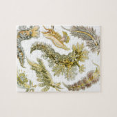  slakken en Zeeen slakken van Ernst Haeckel Legpuzzel (Horizontaal)