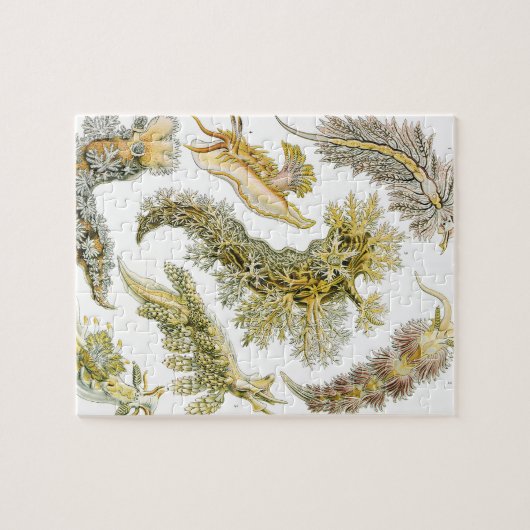  slakken en Zeeen slakken van Ernst Haeckel Legpuzzel (Horizontaal)