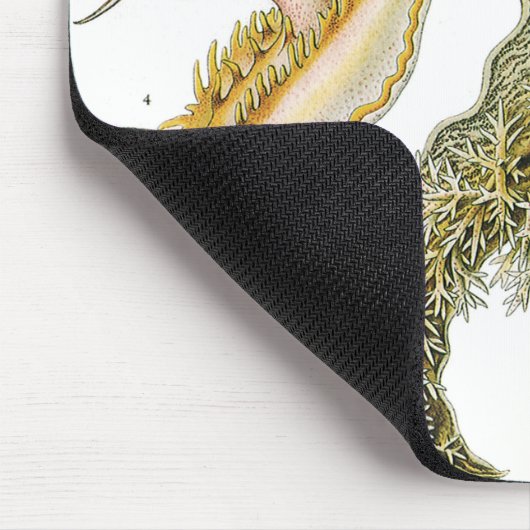  slakken en Zeeen slakken van Ernst Haeckel Muismat (Hoek)